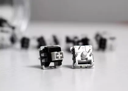 LEOBOG - Graywood V4 Linear Switches