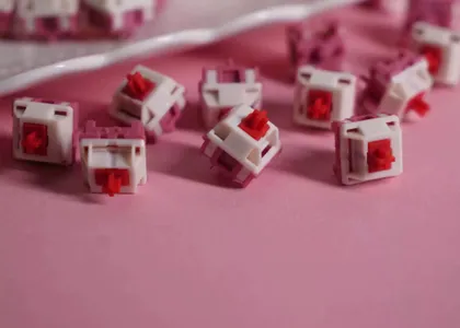 HMX - Darling Linear Switches
