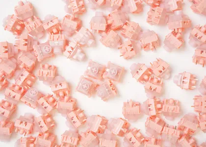 WS Big Lucky Clicky Switches
