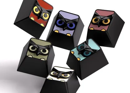 OWL Artisan Key