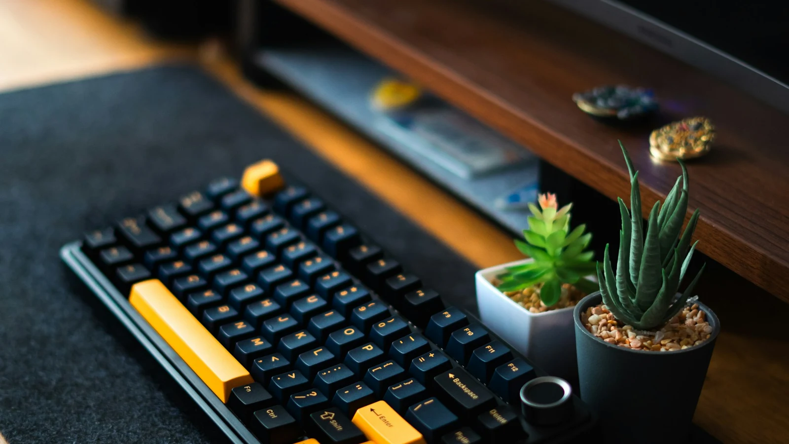 Mechanical keyboard and mouse on a desk beside green plants